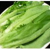 患有牛皮癣想要孩子影响吗