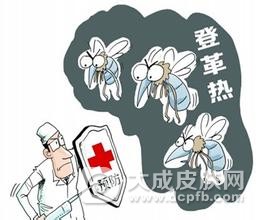 福建积极开展督查活动严防登革热疫情传播和发生