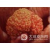 男性尖锐湿疣潜伏期多长呢？