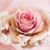 盆腔炎有什么危害呢