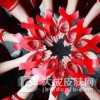 艾滋病传播途径有以下几点