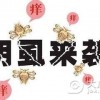 不洁性交还要预防阴虱
