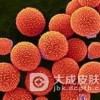 蕈样真菌病和Sezary综合征是由什么原因引起的