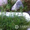 得了漆疮怎么护理呢