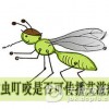 专家：关注艾滋病初期症状 不可作为诊断标准
