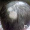 接触性皮炎的防治要点是什么