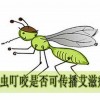 艾滋病传播途径