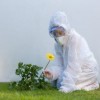 适合过敏患者的视力保健餐