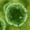 发生牙龈纤维瘤病后需要怎样来进行鉴别诊断呢
