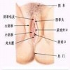 如何正确的处理外阴白斑疾病
