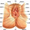 什么是良性的外阴白斑疾病