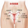 各个年龄患上外阴白斑的病因是什么