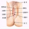 外阴白斑患者要注意哪些事项