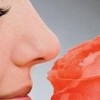 女性腋下有狐臭是怎样形成