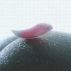 青岛外阴白斑的治疗