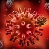 单纯性疱疹病毒引发的症状表现