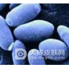 生殖器念珠菌病的病原体是什么
