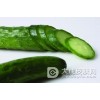 警惕素食蔬菜带来的皮炎病