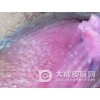 女性如何预防阴道尖锐湿疣的发生呢