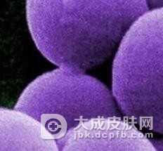 一期梅毒皮肤有什么症状