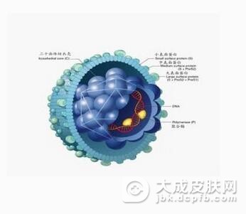 感染尖锐湿疣的病因都有哪些呢