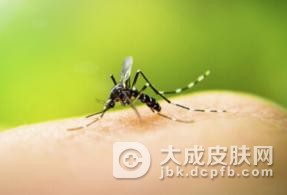 微小病毒-B-19治疗及护理