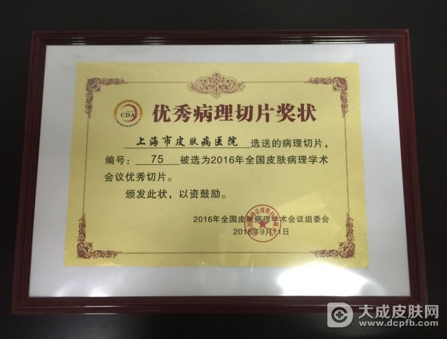 上海市皮肤病医院荣获2016年全国皮肤病理学术会议优秀病理切片奖