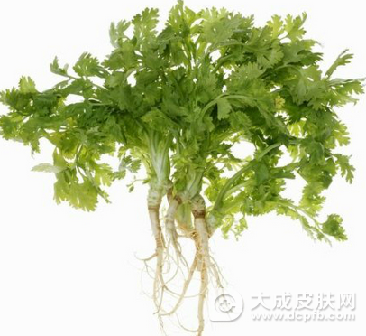 荨麻疹如何治疗 三种民间偏方不妨一试