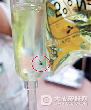 韩国医院输液袋惊现苍蝇蟑螂,院方已上报