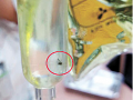 韩国医院输液袋惊现苍蝇蟑螂,院方已上报