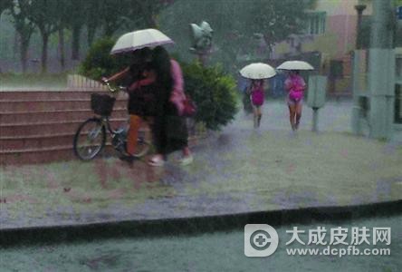 没事别淌雨水,小心患虫咬皮炎