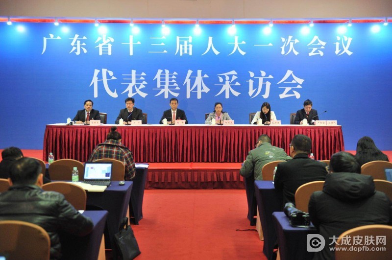 广东省十三届人大一次会议第二场代表集体采访会举行