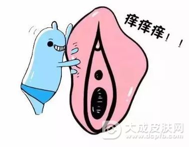 外阴白斑的危害