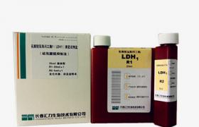 乳酸脱氢酶(LDH,LD)