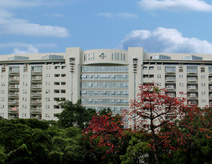 廣州市康民醫院(增高科)