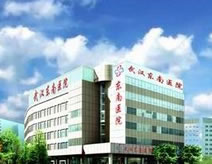 武漢東南醫院