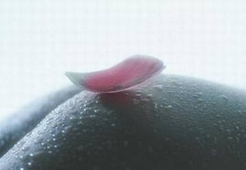 外阴白斑的鉴别有哪些根据