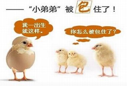 包皮过长该怎么办，为什么要做包皮手术
