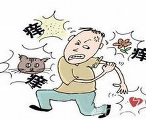 如何改善过敏体质