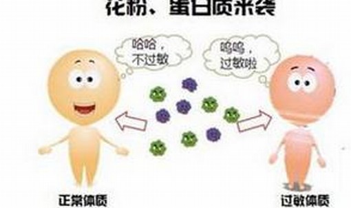 如何治疗过敏比较好