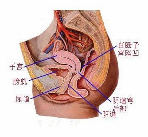 非淋菌性尿道炎早期都有哪些症状