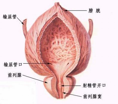 青岛如何自测前列腺炎