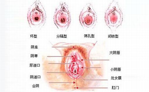 外阴白斑疾病会对女性产生哪些危害