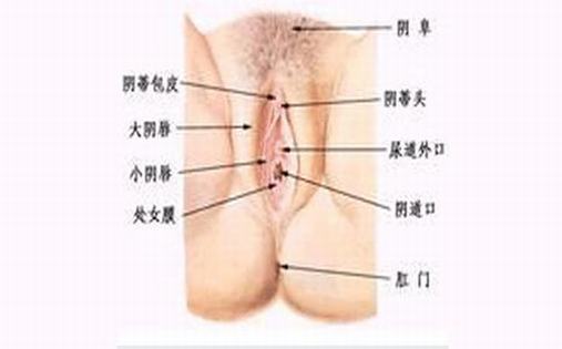 外阴白斑患者要注意哪些事项