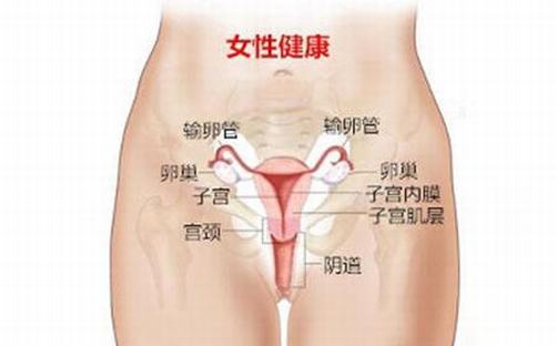 食物在治疗外阴白斑时能起到什么作用