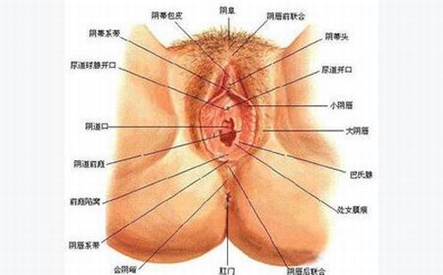 外阴白斑在饮食方面要注意哪些事项