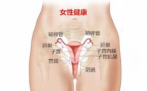 治疗后外阴白斑患者如何护理？