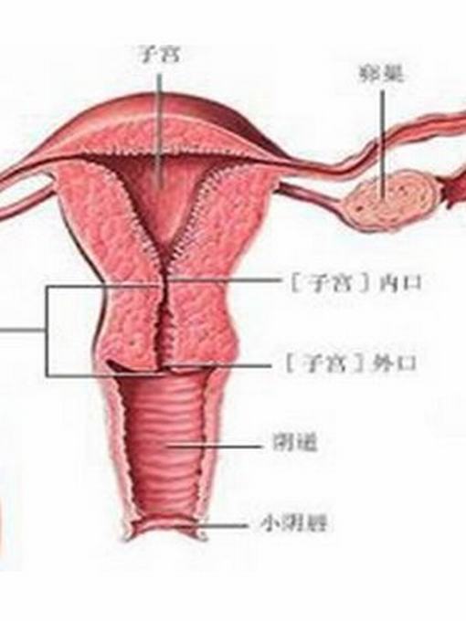 女性外阴黏膜白斑病的临床症状表现