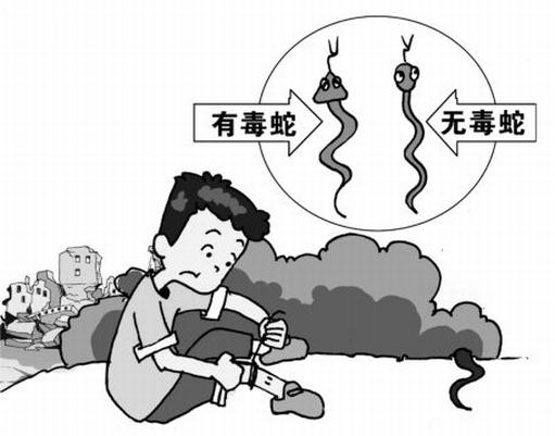 昆虫蛰咬伤可以怎么护理呢