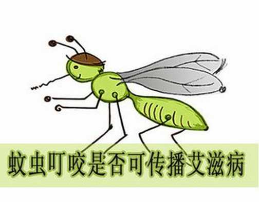 献血能查出艾滋病吗